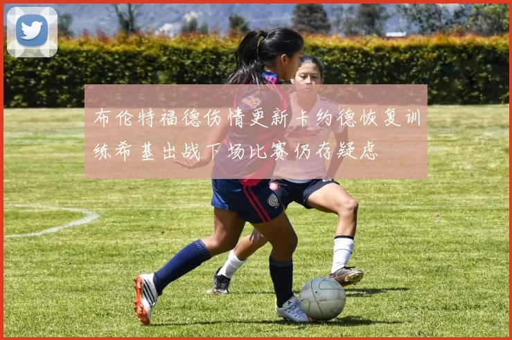 布伦特福德伤情更新卡约德恢复训练希基出战下场比赛仍存疑虑