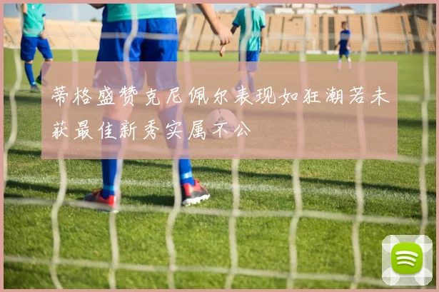 蒂格盛赞克尼佩尔表现如狂潮若未获最佳新秀实属不公